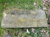 image of grave number 289481